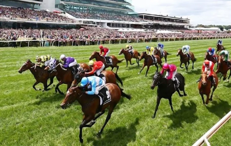 Khám Phá Cá Cược Đua Ngựa ABC8 Đỉnh Cao Thắng Lớn Siêu Hấp Dẫn 1 Khám Phá Cá Cược Đua Ngựa ABC8 Đỉnh Cao Thắng Lớn Siêu Hấp Dẫn